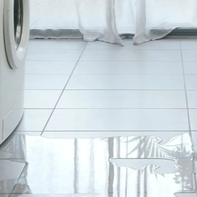 Appliance Leak Cleanup in Reedsburg, WI