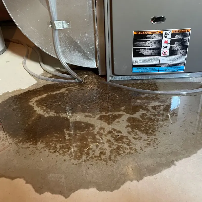 Pipe Burst and Leak Restoration in Reedsburg, WI